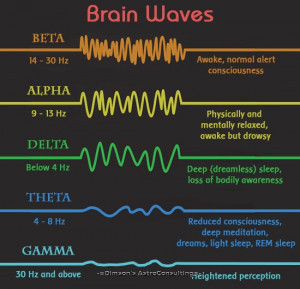 Ритмы мозга и состояния сознания